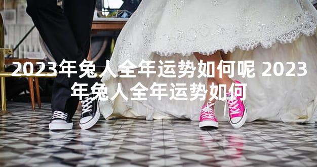 2023年兔人全年运势如何呢 2023年兔人全年运势如何